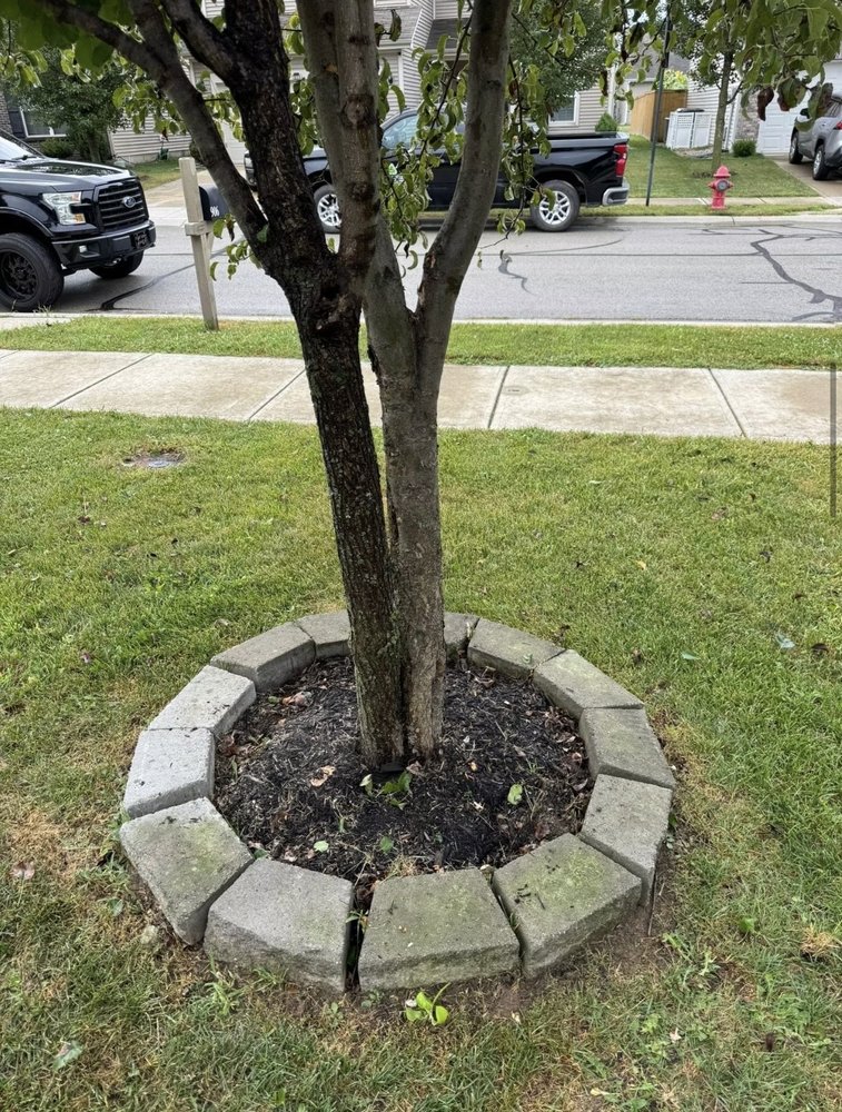 Stone tree ring edging and mulch installation for landscaping in Carmel, IN