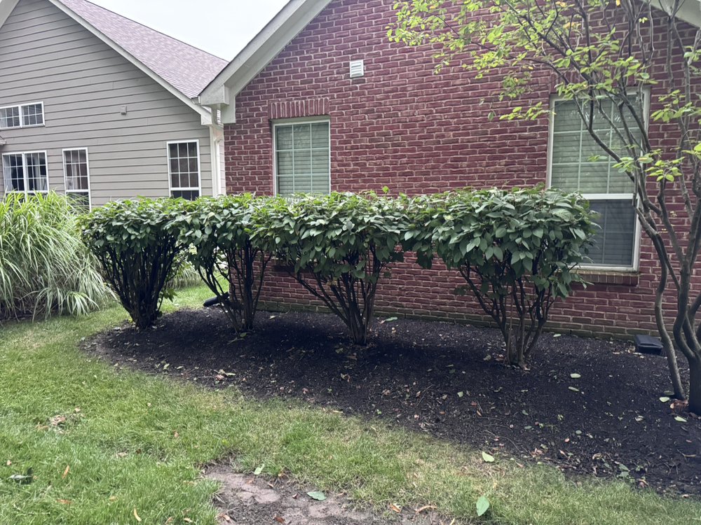 Landscaping with trimmed hedges and fresh mulch at a Carmel, IN home by A1 Home Services