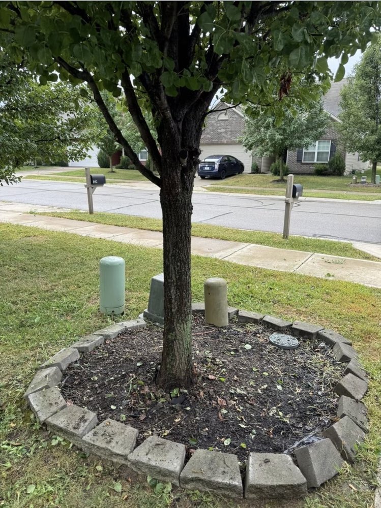 Tree landscaping and mulch bed installation in a Carmel, IN residential yard